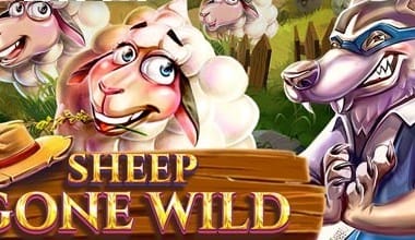 Sheep Gone Wild